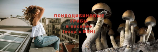 дурь Магадан