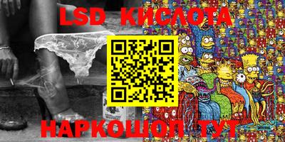 мяу мяу мука Аргун