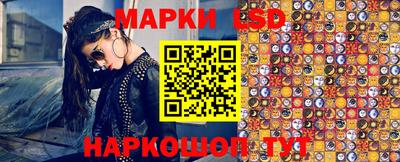 spice Гай