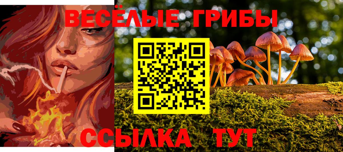 Галлюциногенные грибы прущие грибы Домодедово