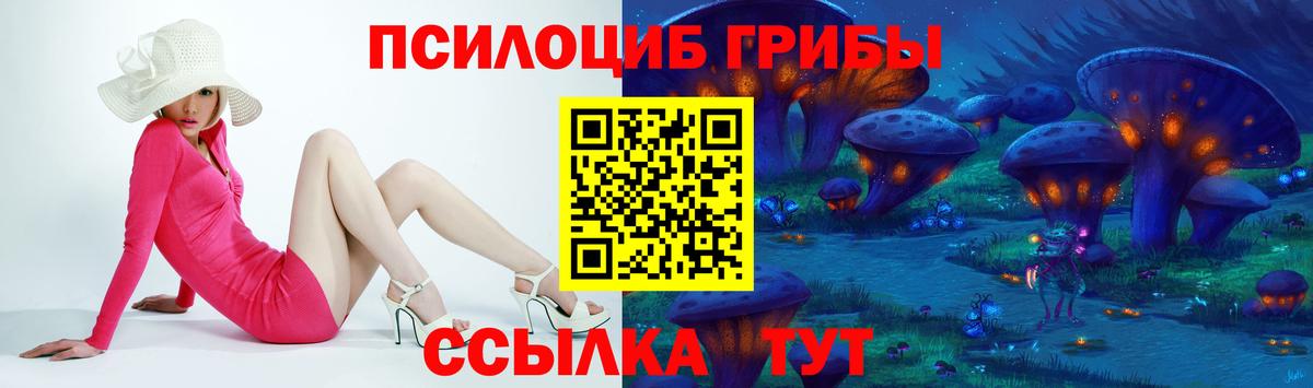 Галлюциногенные грибы Cubensis Домодедово